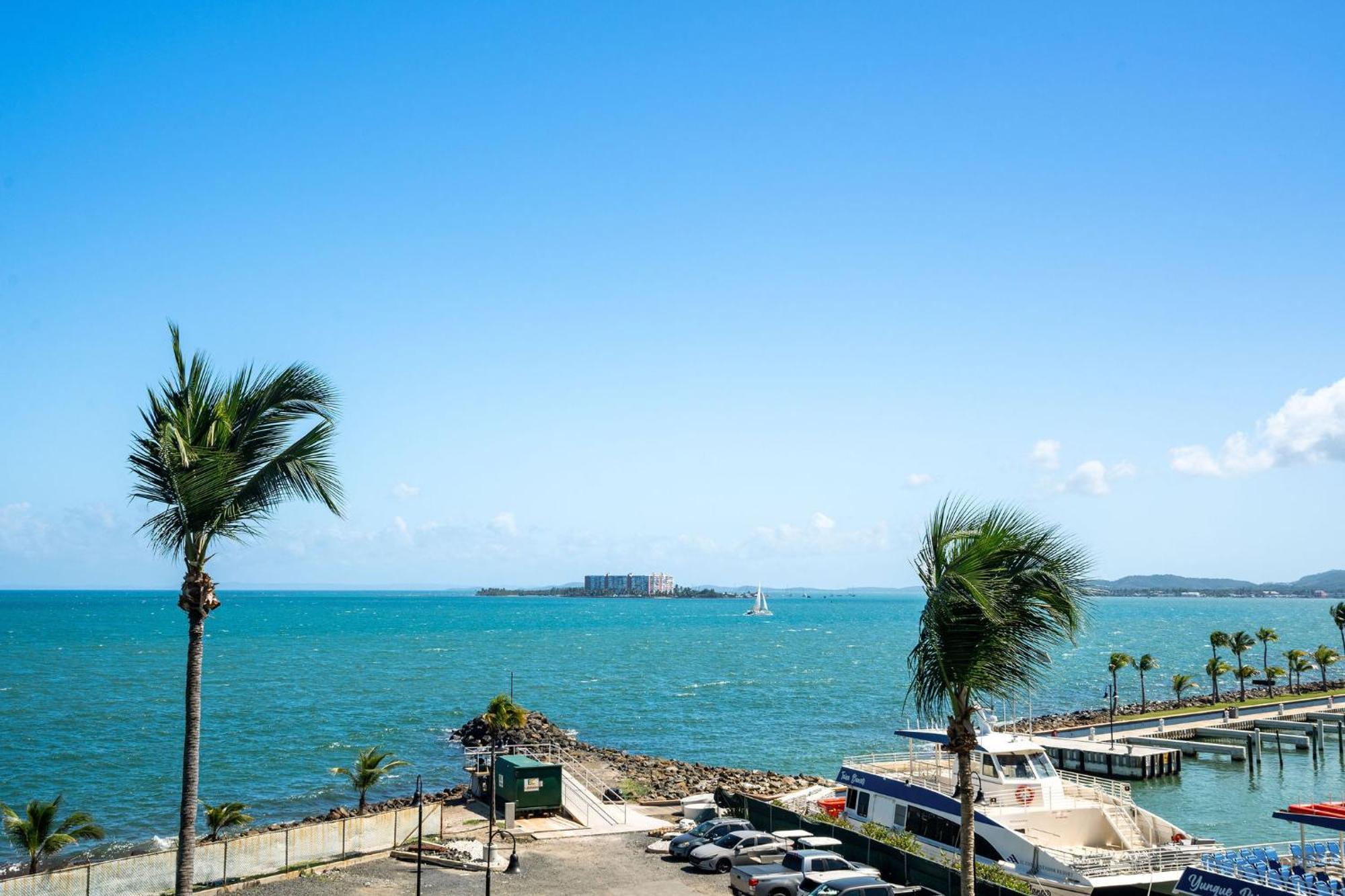 Your Ocean Zen Oasis Apartment Fajardo Exterior foto